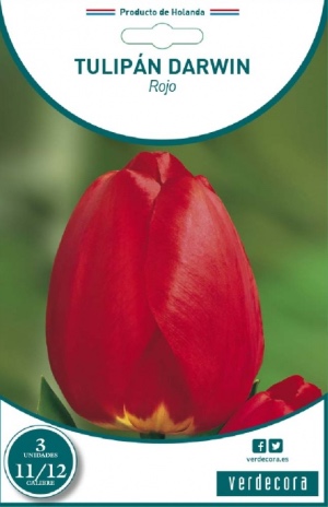 Hagearbeider merkevare rød tulipan