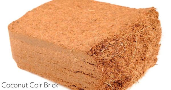 Coconut Coir Brick 
