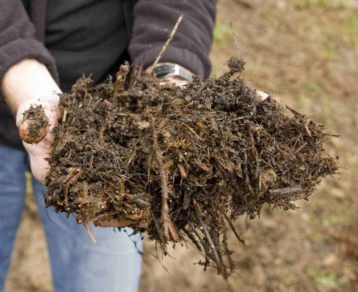 soil-amendments-compost-03-12312016
