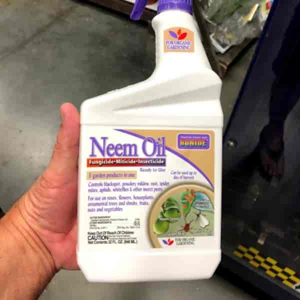 Bottle of Neem Oil Spray