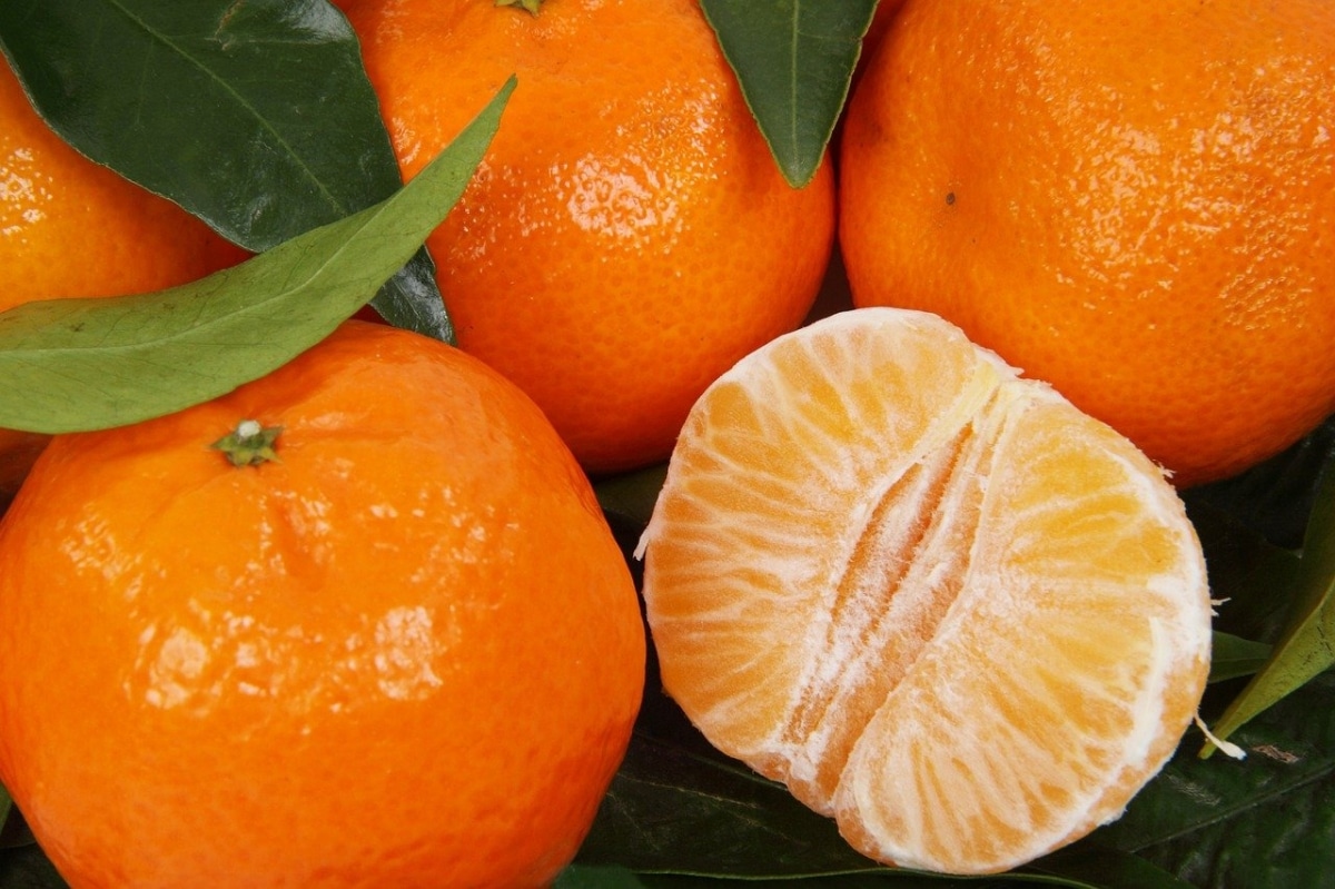 Clemenules er oransje