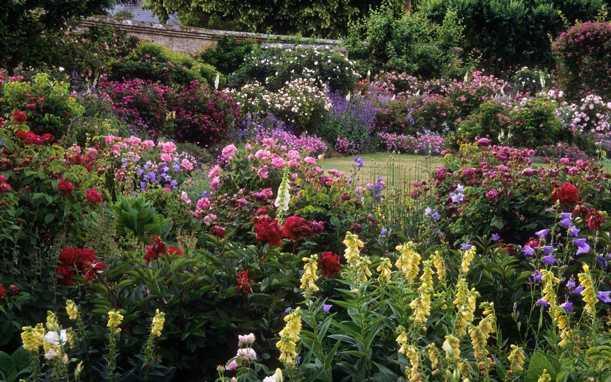 Lag et blomsterbed i din romantiske hage