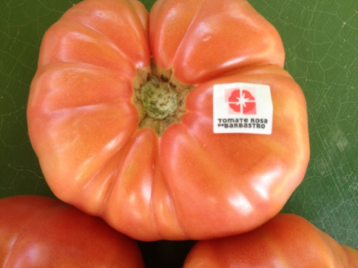 gigantisk tomat