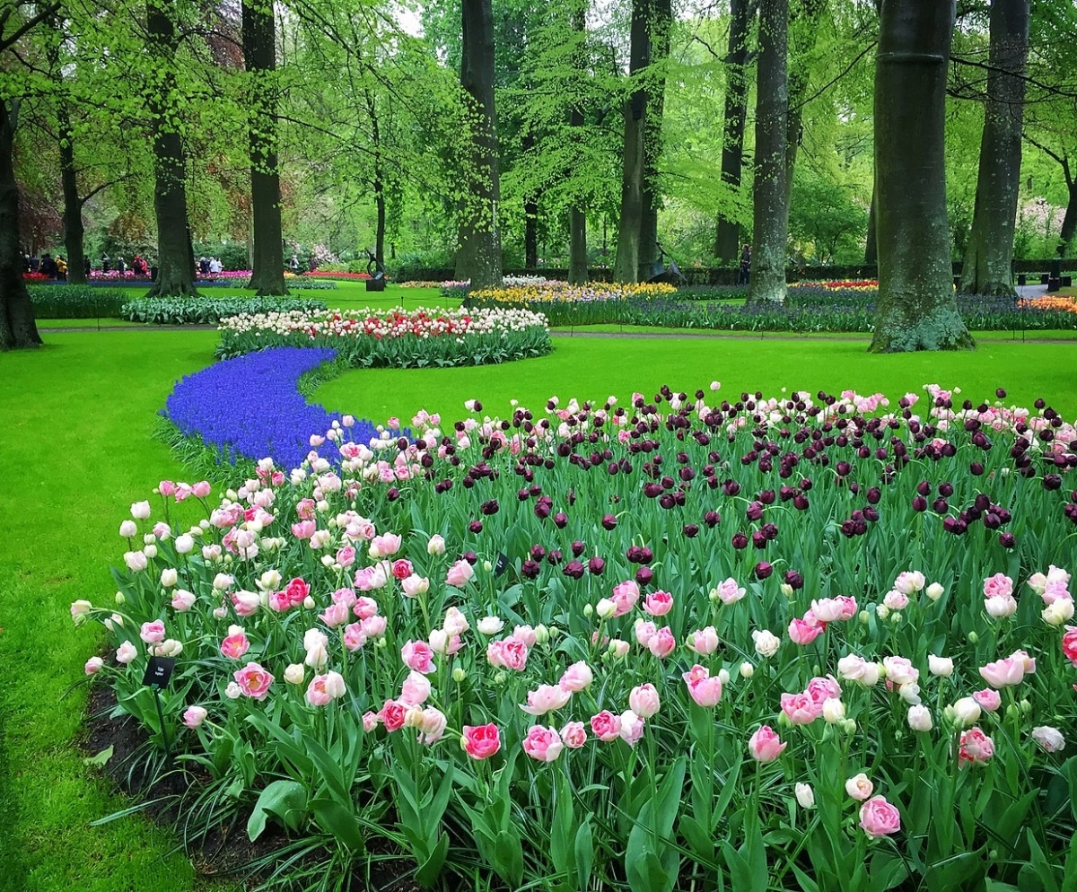 Keukenhof Gardens ligger i Nederland