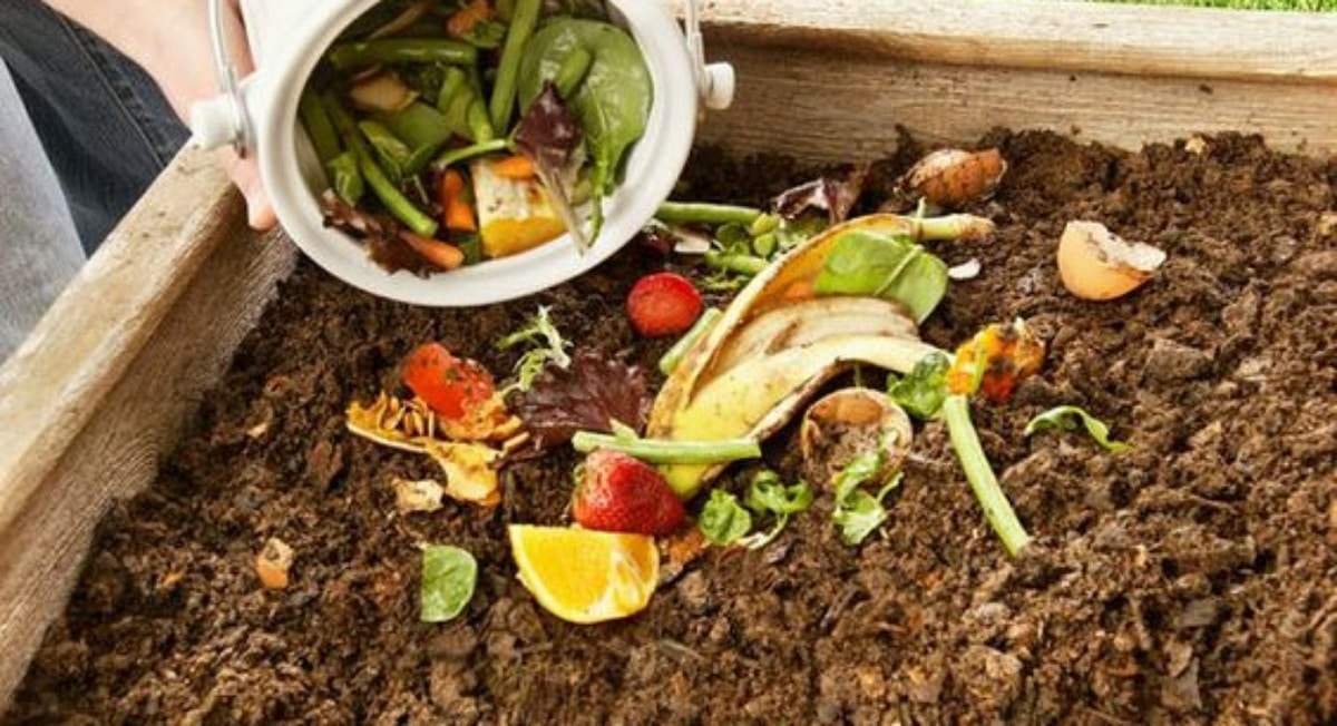 kompostingredienser