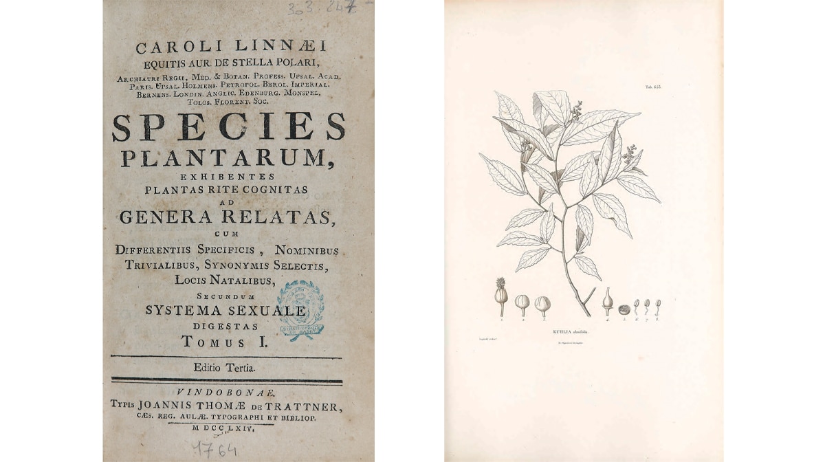 Boken "Species plantarum" er en samling av alle planteartene som er kjent av Carlos Linneo