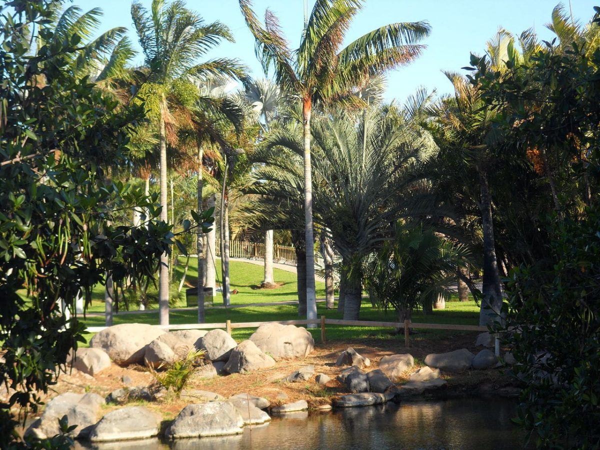 Palmetum de Tenerife er en moderne hage