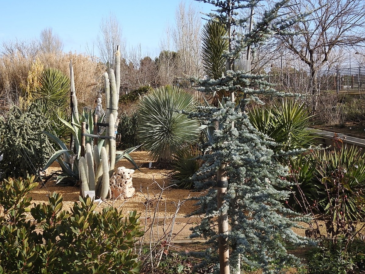 Den botaniske hagen til Castilla la Mancha ligger i Spania