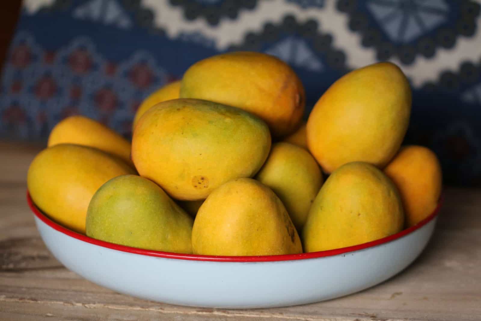 hvordan man sår mango