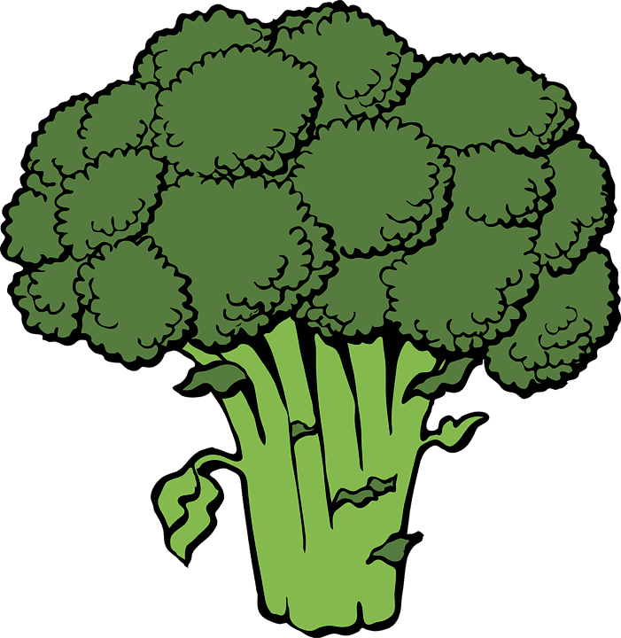 sembrar brocoli 6