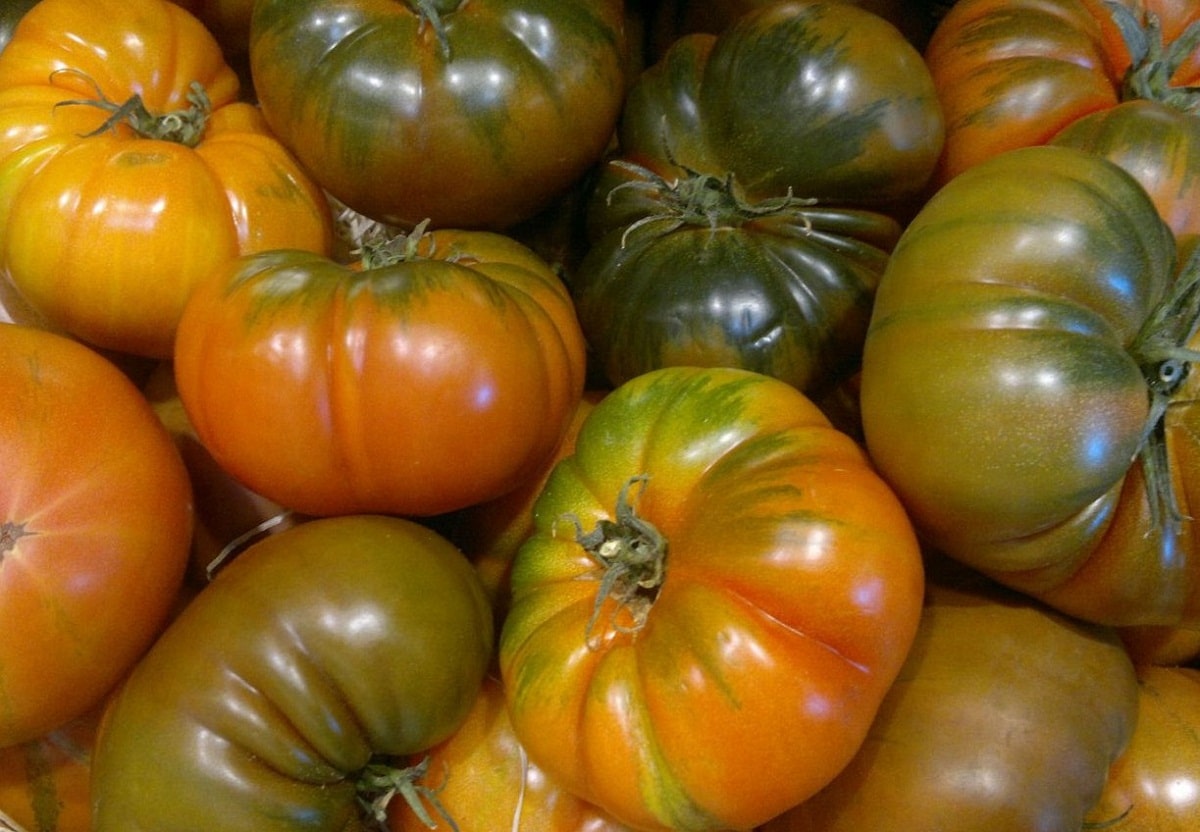 Raf-tomat er mye brukt i salater