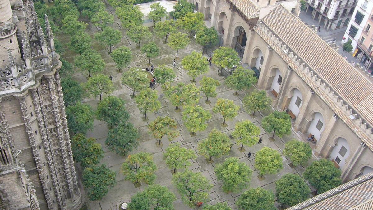 Patio de los Naranjos i Sevilla er liten