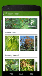 Iknowtrees er en app for å identifisere planter