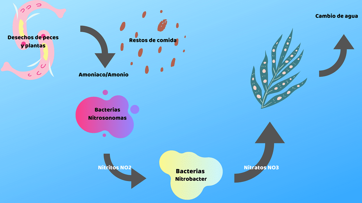 nitrogenbalanse