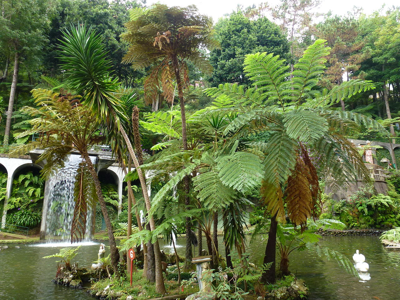 Den tropiske hagen er preget av å ha eksotiske planter