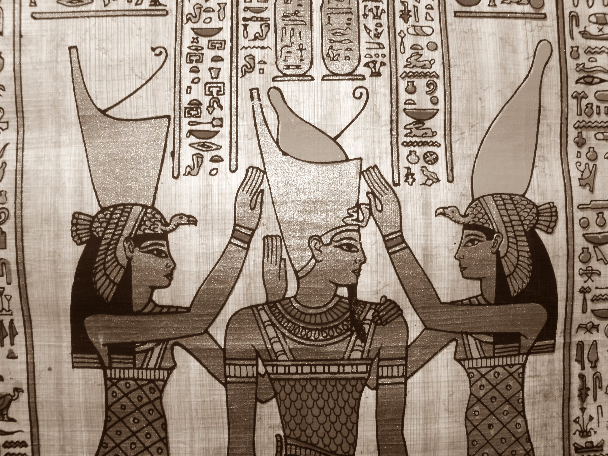 Utsikt over en egyptisk papyrus