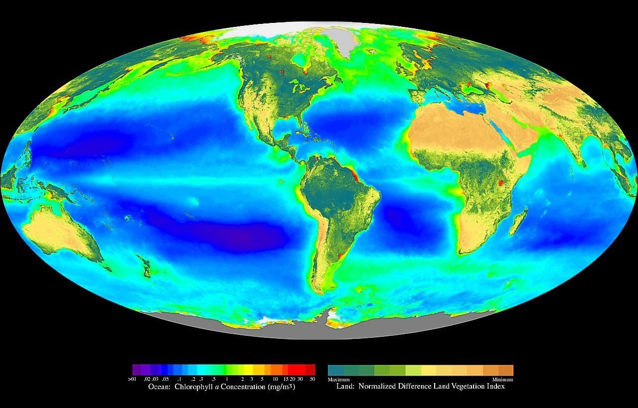 Fotosyntese verdenskart