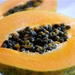 Frukt av Carica papaya