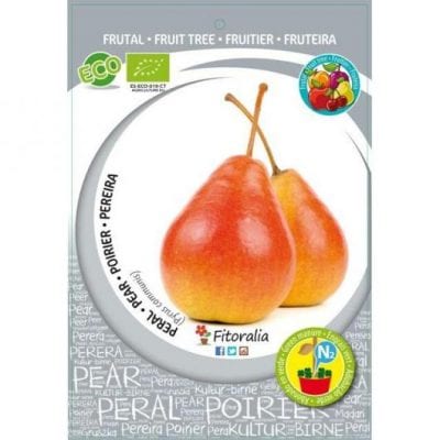 Ercolini-pæretreet produserer veldig saftige frukter