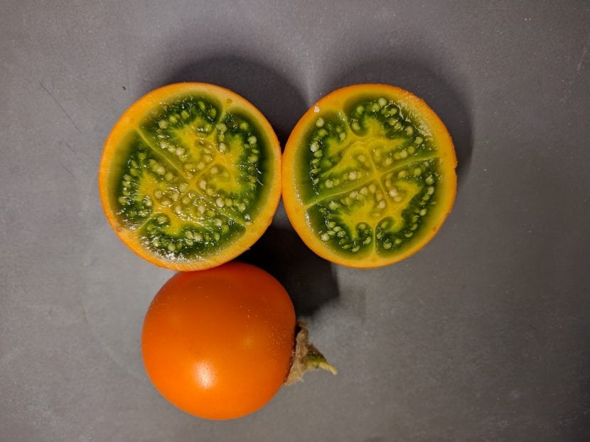 Fruktene av lulo ligner på tomater
