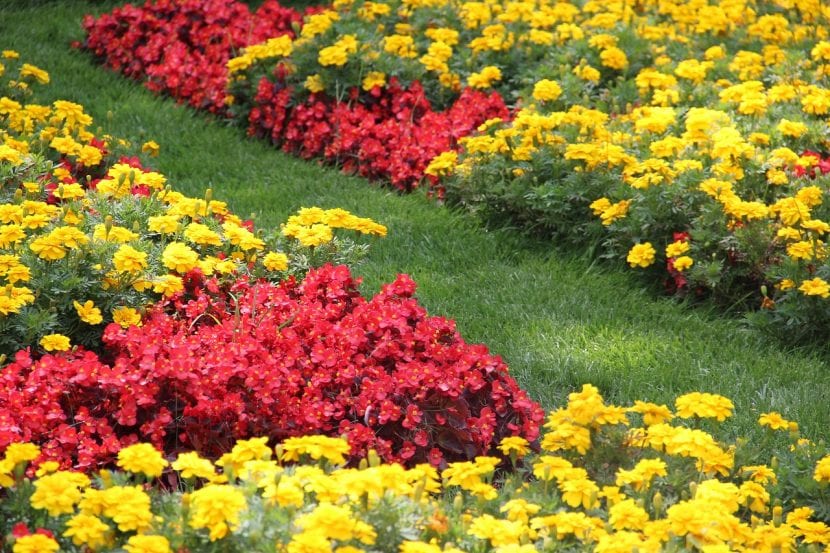 Kombiner fargene slik at du får en perfekt hage