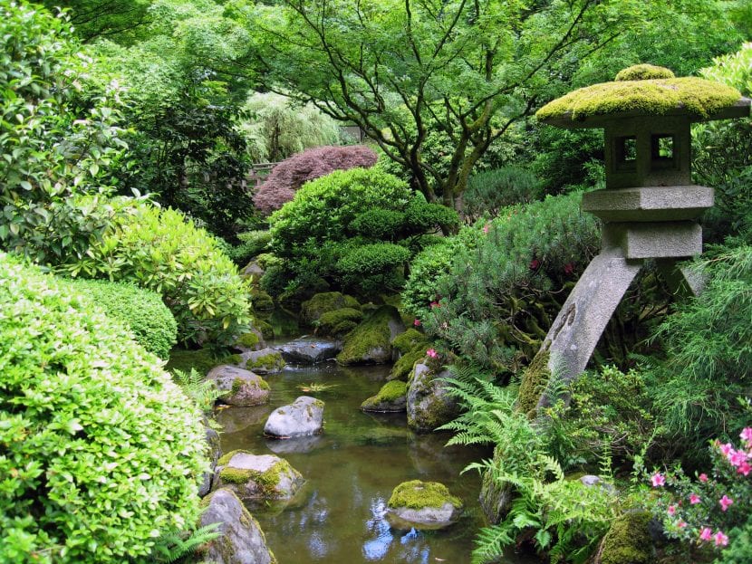 Japansk hage med dam