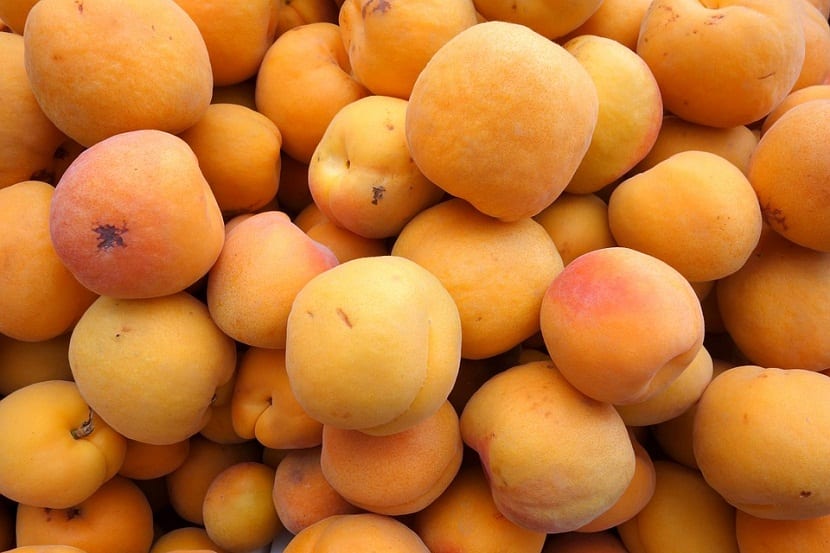 Ulike varianter av aprikos