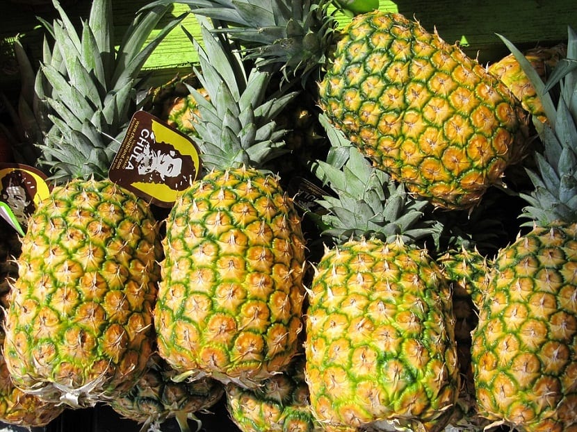 skadedyr og sykdommer i ananasplanten