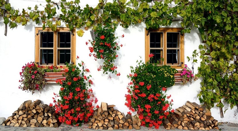 hus dekorert med blomster