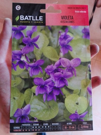 Viola odorata frø