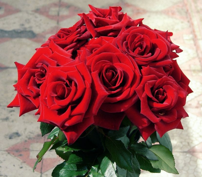 Bukett med røde roser