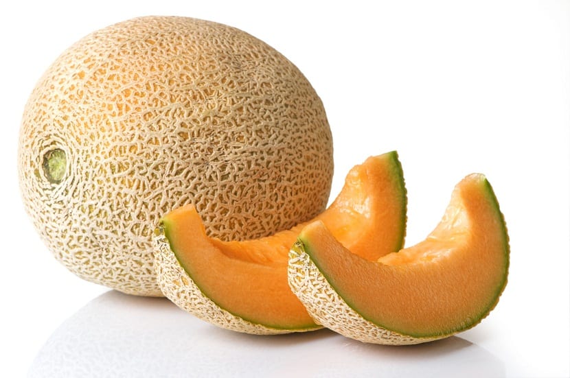 melon og cucurbitaceae