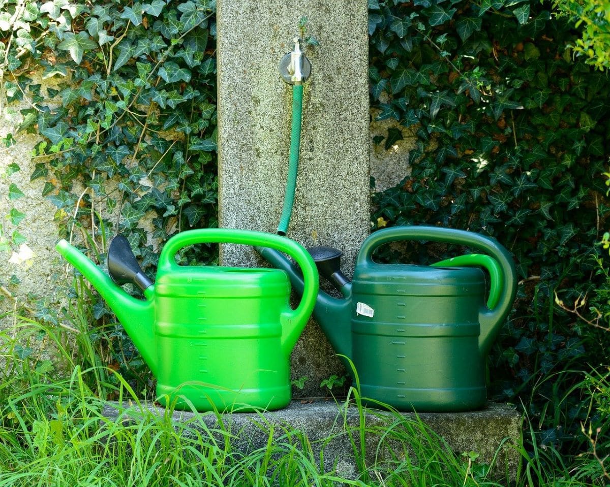 Det er mange typer vanningsanlegg for dyrking av planter