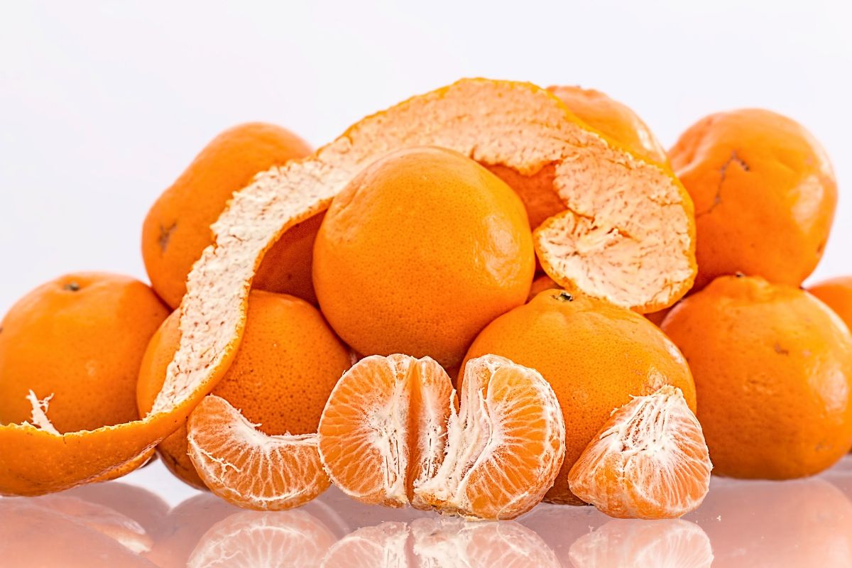 Hvilken jord trenger mandarinen?