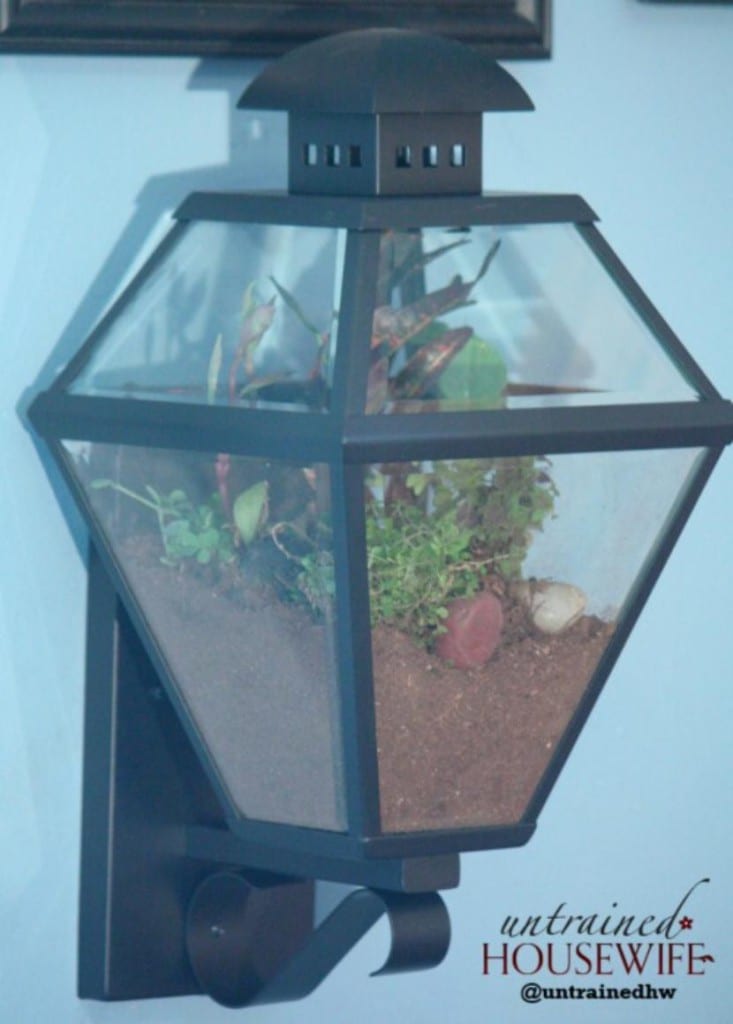 Terrarium i en lampe
