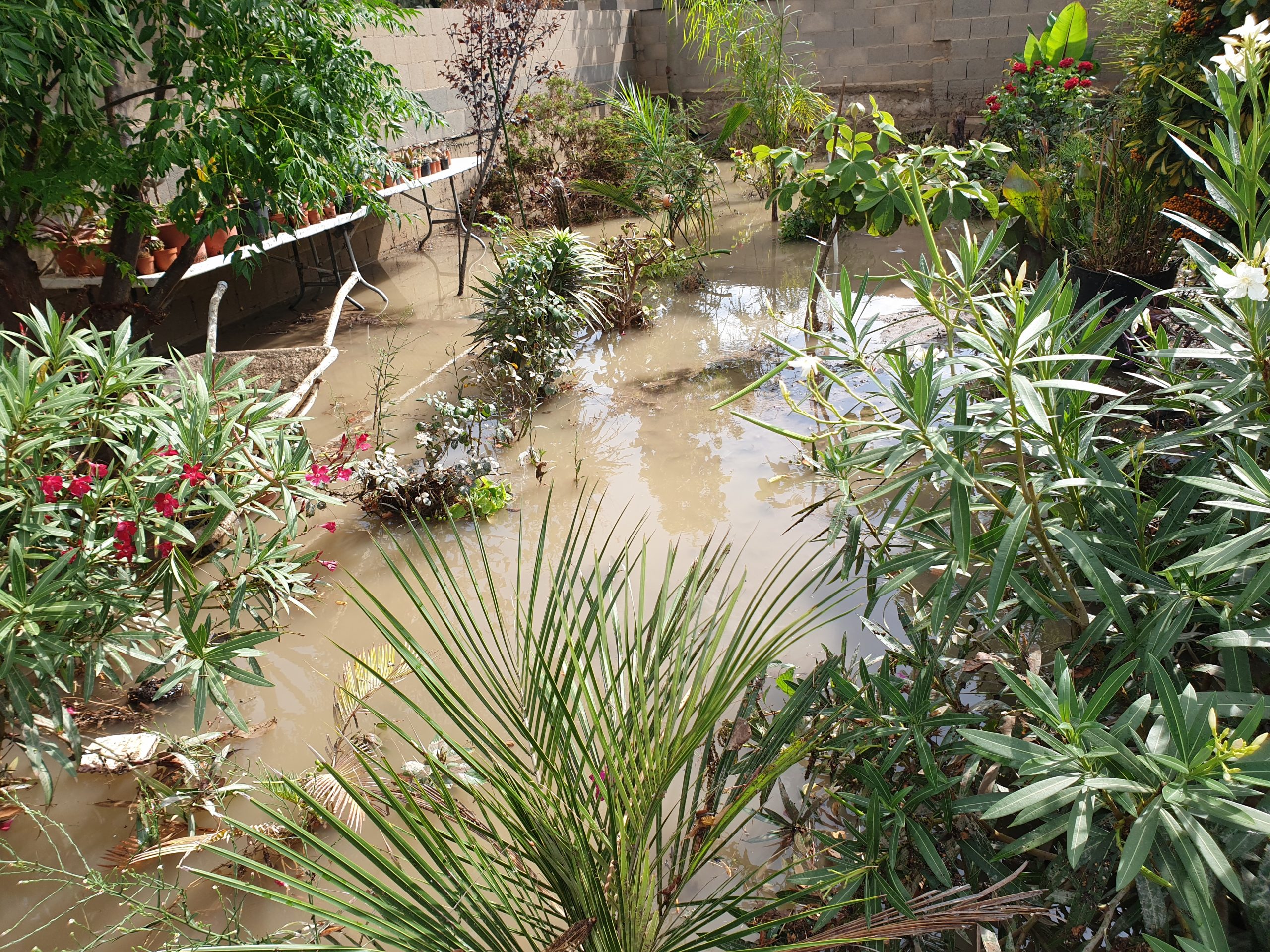 For mye regnvann i en hage gir problemer