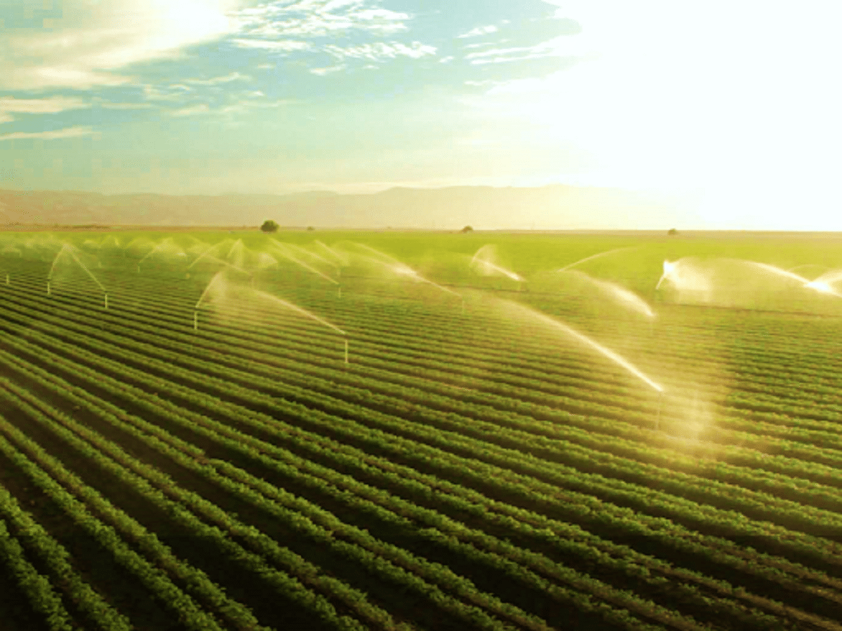 vannet jordbruk