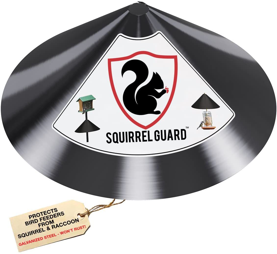 Best Squirrel Baffle: PREDATORGUARD Squirrel Guard Baffle