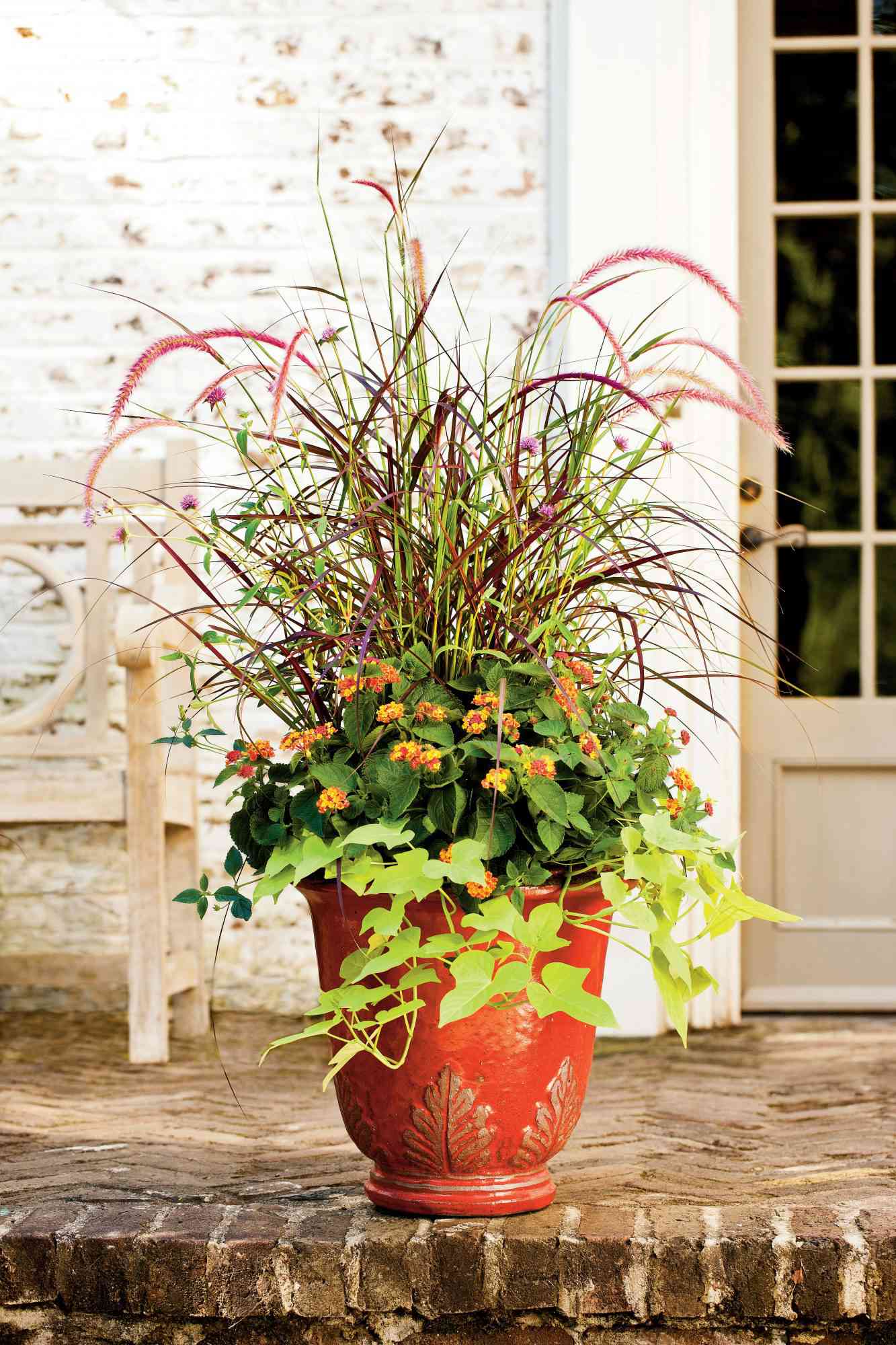 Plant an Autumnal Container