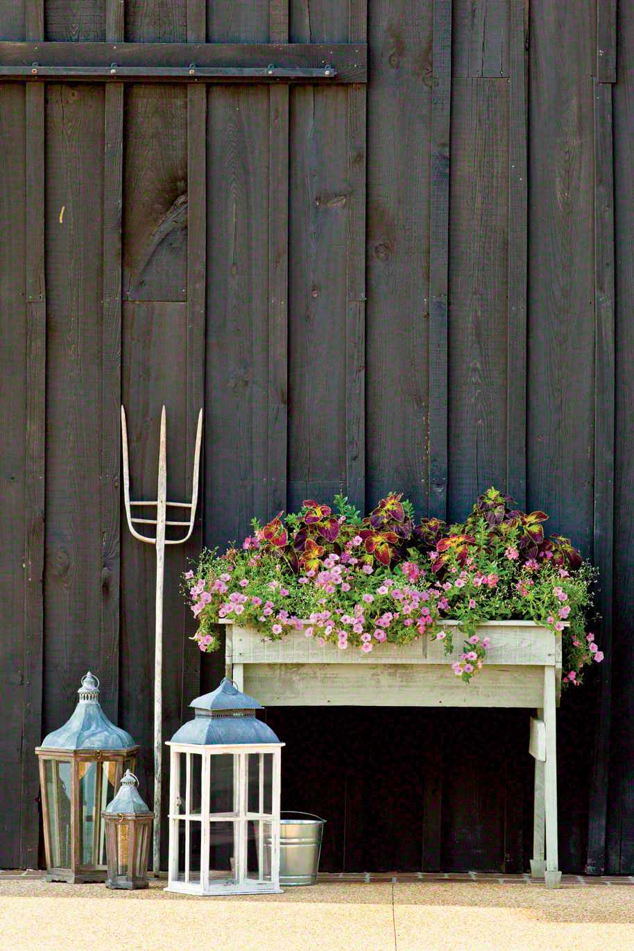 Pink Petunia Window Box