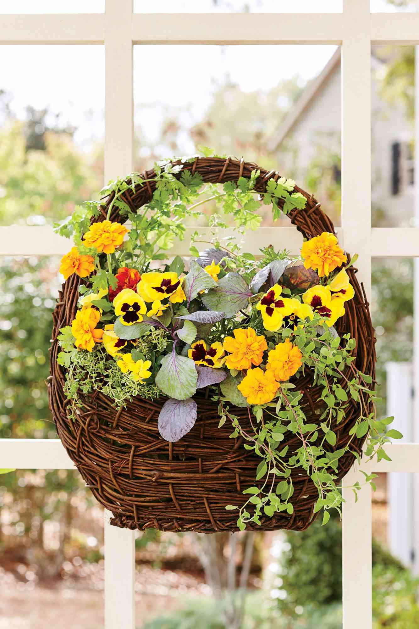 Yellow Pansy Hanging Basket