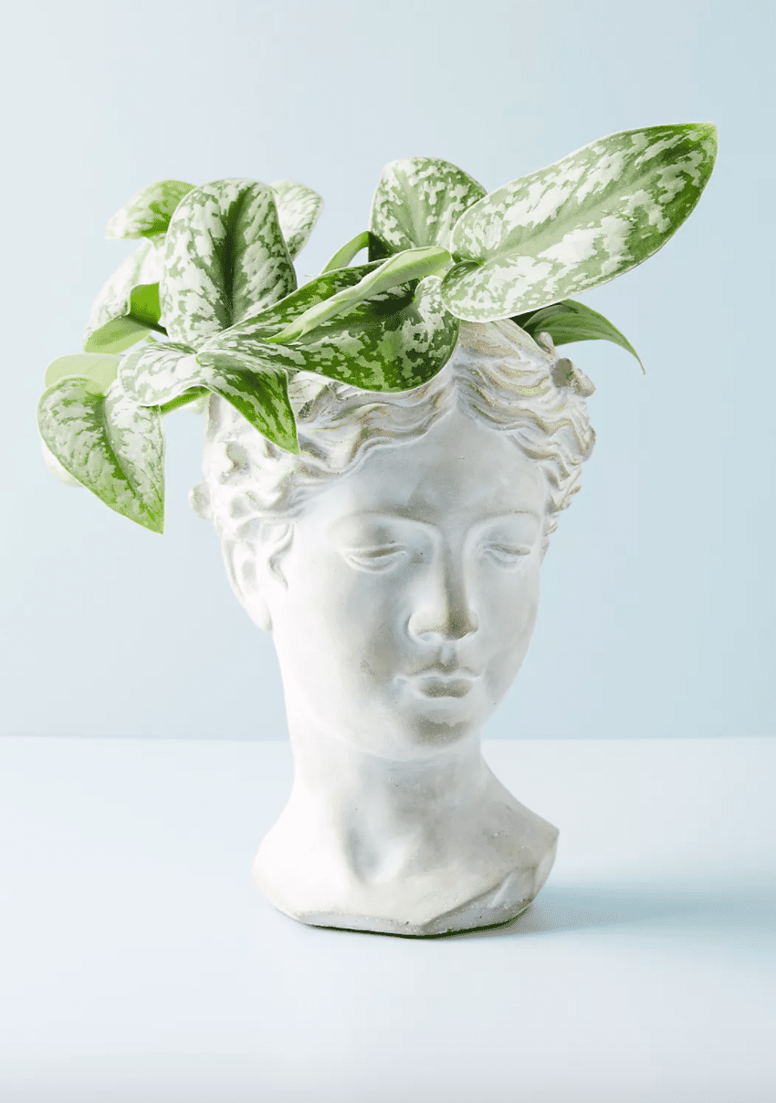 anthropologie gresk vase