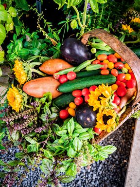 Grønnsaks- og urtebounty fra Nicole Burkes Kitchen Garden Bed