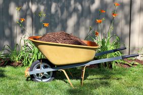 Wheelbarrow Filled with Mulch 