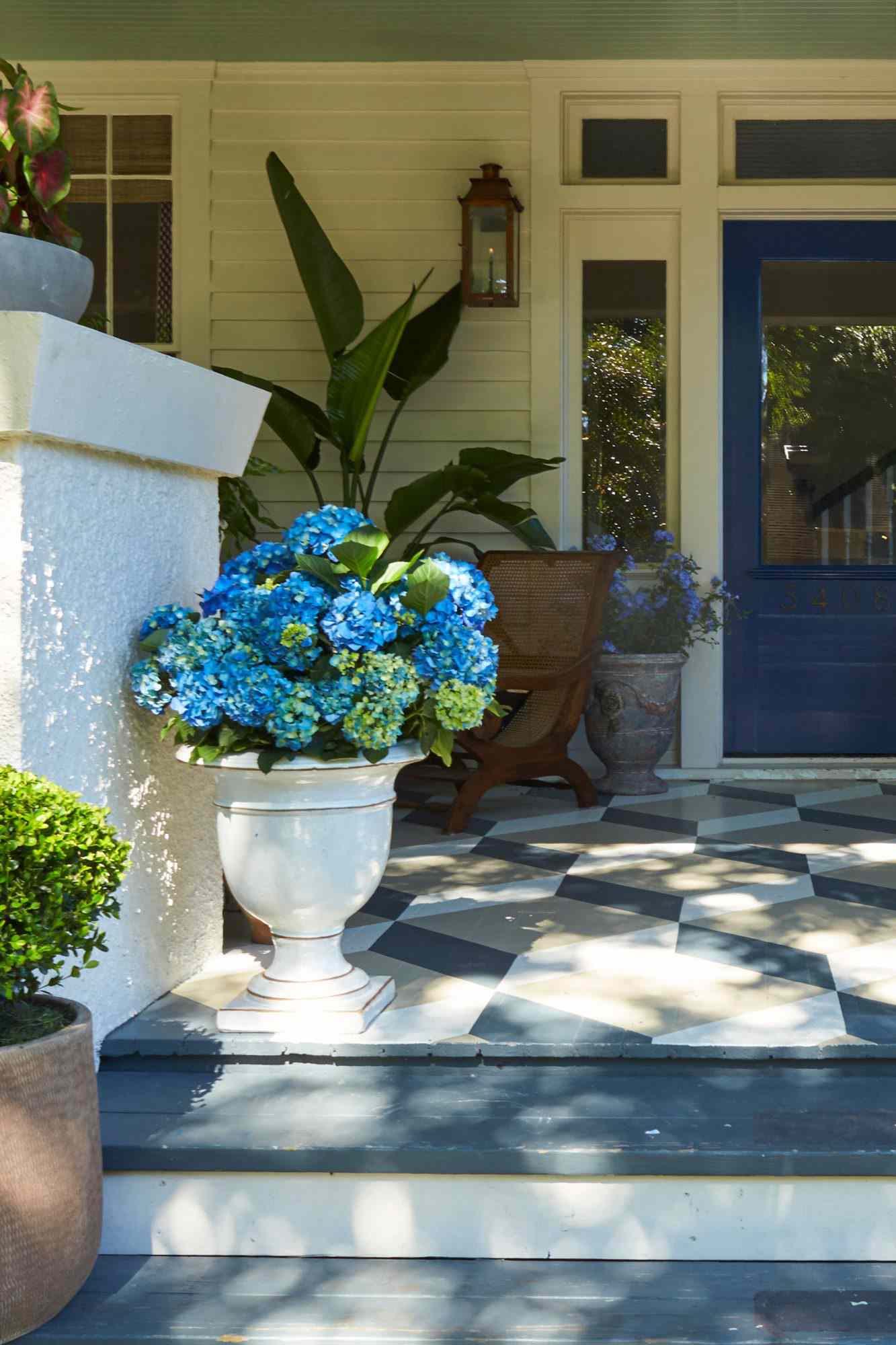 Front Porch blå hortensia i hvit beholder