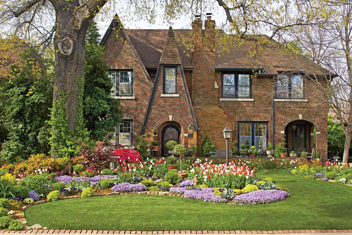 Front Yard with Tulips