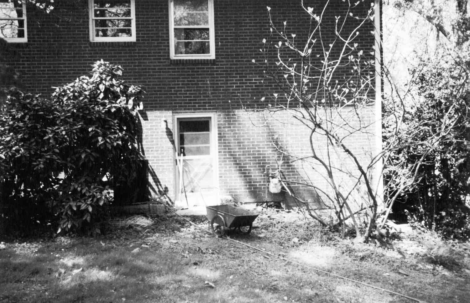 Backyard Basement Entrance