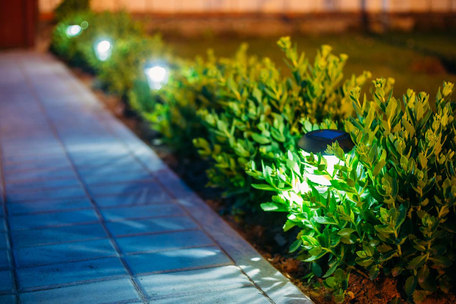 Solar lights by a front yard pathway