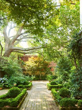 Formal Charleston Garden Courtyard