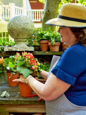 Pamela Scurry Potting Blooms in Her Charleston Garden